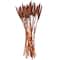 Dried Plant Bunny Tail Natural Foliage with Long Stems